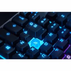 Steelseries APEX 3 tastiera Gaming USB QWERTY Portoghese Nero - Vista aggiuntiva 4