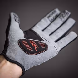GripGrab Shark