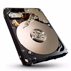 Seagate Savvio 300GB SAS, 300 GB, 10000 Giri/min, 64 MB, 2.5", SAS