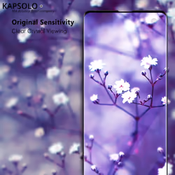 KAPSOLO Tempered GLASS Screen Protection, curved, Ultimate, Microbial Apple iPhone XR