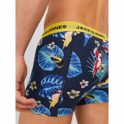 Jack & Jones 12194104_1294_877269.62 Pantaloncino - Vista aggiuntiva 5