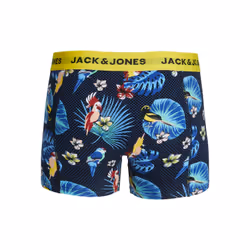 Jack & Jones 12194104_1294_877269.41 Pantaloncino - Vista aggiuntiva 4