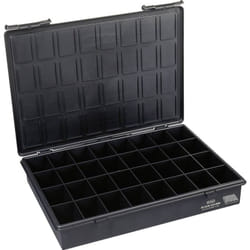 Esd Raaco esd Assorter 4-32 Scatola minuteria (l x l x a) 338 x 260 x 57 mm Scomparti: 32 suddivisione fissa Contenuto