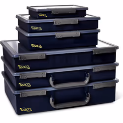 raaco Assorter 55 4x4-0 valigetta porta attrezzi Blu