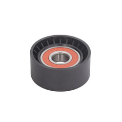 Puleggia folle, cinghia con nervatura a V BTA B05-02-040