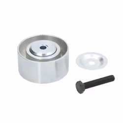 Puleggia folle, cinghia con nervatura a V BTA B05-02-048