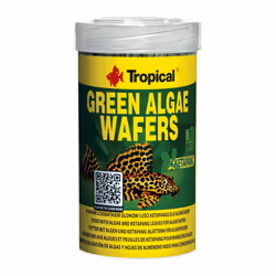 Tropical Green Algae Wafers, Pesce da acquario, Cibo secco per pesci, Compressa, Vitamina A, Vitamina C, Vitamina D3, Vitamin ...