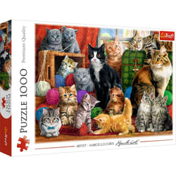 Trefl 10555 puzzle 1000 pz Altro