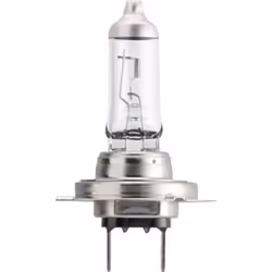 Lampada alogena PHILIPS H7 LongLife EcoVision 12V, 55W, 1 Pezzo - Vista aggiuntiva 4