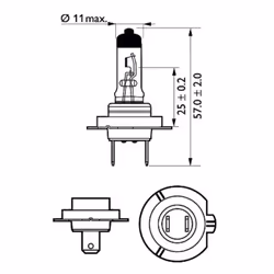 Lampada alogena PHILIPS H7 LongLife EcoVision 12V, 55W, 1 Pezzo - Vista aggiuntiva 5