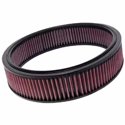 Filtro aria K&N E-2872