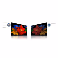 TCL S59K Serie Smart TV QLED FHD 32" 32S59K, Dolby Audio, HDR10, Android TV - Vista aggiuntiva 8