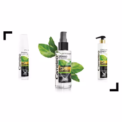 Delia Cosmetics Cameleo Anti-Damage Spray per capelli Donna 150 ml - Vista aggiuntiva 5