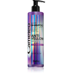 Delia Cosmetics Cameleo Silver 250 ml