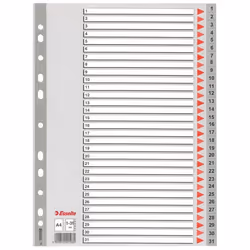Esselte Plastic indexes, 225 mm, 297 mm, 1 pz