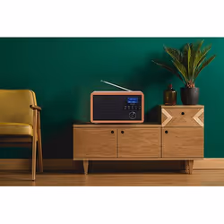 Adler AD 1184 radio Portatile Digitale Nero, Legno - Vista aggiuntiva 8