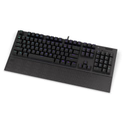 ENDORFY Omnis tastiera Universale USB QWERTY Nero