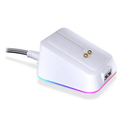 ENDORFY EY0F002 mouse Casa Ambidestro RF Wireless + USB Type-A