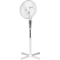 MPM MWP-19 ventilatore Bianco