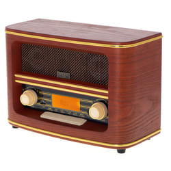 Adler AD 1187 radio Portatile Digitale Marrone