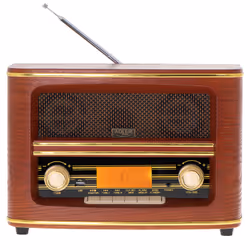 Adler AD 1187 radio Portatile Digitale Marrone