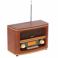 Adler AD 1187 radio Portatile Digitale Marrone