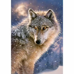 Castorland Lone wolf 500 pcs Puzzle 500 pz Fauna - Vista aggiuntiva 2