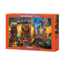 Castorland Our special place in Venice 3000 pcs, 3000 pz, Città, 9 anno/i