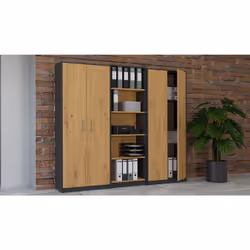 Topeshop OLIV 2D ANT/ART KPL libreria ufficio - Vista aggiuntiva 5