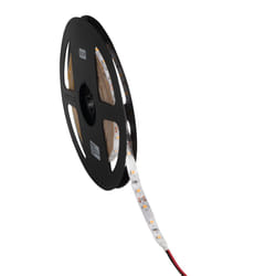 Kanlux S.A. 24513 striscia luminosa LED 5000 mm