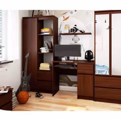 AKORD Furniture Factory IP0PBIUWENPIKSPR scrivania per computer Legno - Vista aggiuntiva 6