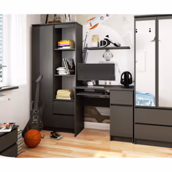 AKORD Furniture Factory IP0PBIUSZARPIKSPR scrivania per computer - Vista aggiuntiva 4