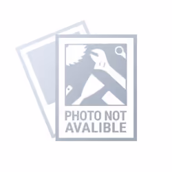 NEO tools 02-428, 1 pz, 530 mm, 1,56 kg