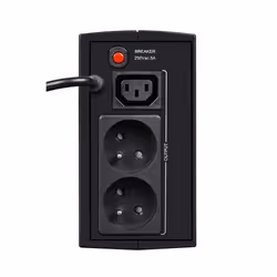 Ever DUO 350 AVR gruppo di continuità (UPS) A linea interattiva 0,35 kVA 245 W 2 presa(e) AC
