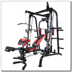 HMS Fitness X2 ABS, Indietro, Bicipiti, Hamstrings, Quadricipiti, Trapezius, Tricipiti