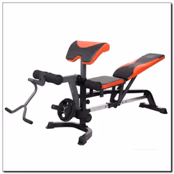 HMS Fitness X2 ABS, Indietro, Bicipiti, Hamstrings, Quadricipiti, Trapezius, Tricipiti - Vista aggiuntiva 5