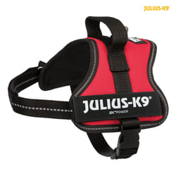 TRIXIE 150103 Pettorina per cani e gatti XS Cane