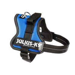Julius-K9 Powerharness S Blu Poliestere Cane Pettorina gilè