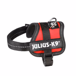 Julius-K9 Powerharness, Cane, Pettorina gilè, XXXS, Nero, Rosso, Poliestere, Monocromatico