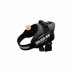 IDC Powerharness è la pettorina per cani ideale per il trambusto della città, per le passeggiate mattutine e per andare in gi ...