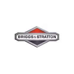 Dado regolatore motore rasaerba tagliaerba tosaerba BRIGGS & STRATTON Codice originale : 691244 EX 231542 ss