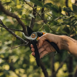 Fiskars Solid M P321 cesoia da potatura Bypass Nero, Arancione