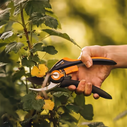 Fiskars SmartFit P68 cesoia da potatura Bypass Nero, Arancione