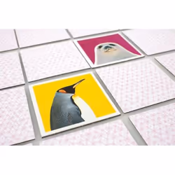 Tactic Wildlife Memo Carta da gioco Abbinamento