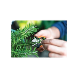 Fiskars - SP220 - Forbici per Erbe Aromatiche 12,9 cm Lame Acciaio Inox Nero/Arancione Easy Action