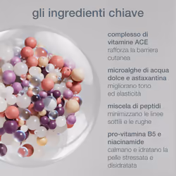 Dermalogica MultiVitamin Power Recovery Cream 50 ml - Vista aggiuntiva 4