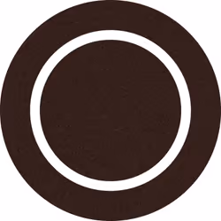 Carta abrasiva WA2061 per levigatrice orbitale casuale Worx WX655, grana 60, ideale per lavori in legno.