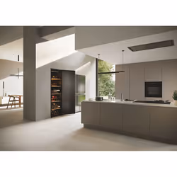 Haier Wine Bank 60 Serie 7 HWS247FDU1 Cantinetta vino con compressore Libera installazione Nero 247 bottiglia/bottiglie - Vista aggiuntiva 8