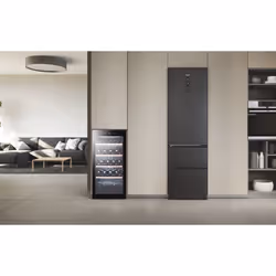 Haier Wine Bank 60 Serie 3 WS105GA Cantinetta vino con compressore Libera installazione Nero 105 bottiglia/bottiglie - Vista aggiuntiva 5