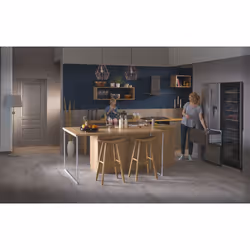 Haier Wine Bank 60 Serie 3 WS171GA Cantinetta vino con compressore Libera installazione Nero 166 bottiglia/bottiglie - Vista aggiuntiva 8